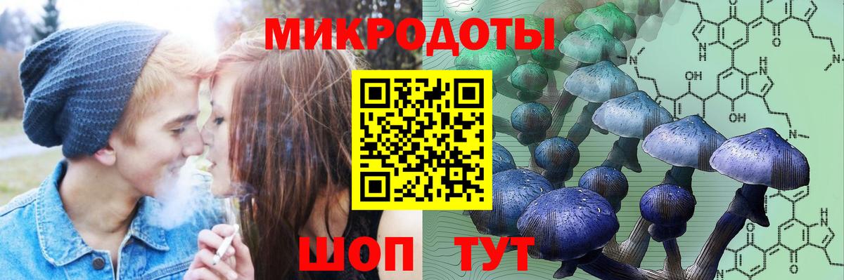 Галлюциногенные грибы мухоморы Отрадное